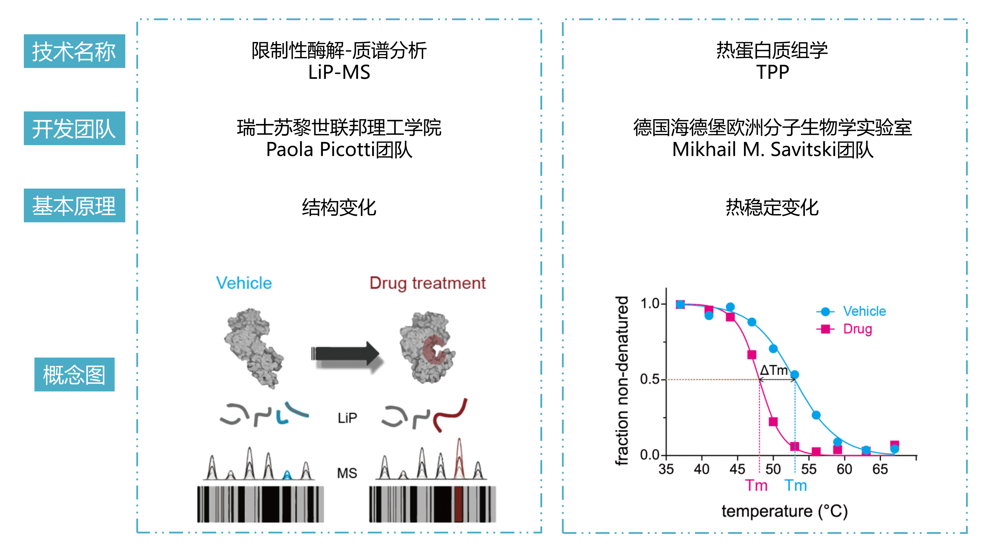 LiP-MS+TPP_01(1).png